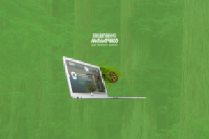 «Кедровое Молочко» от производителя