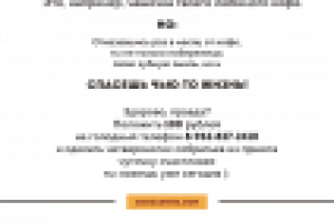 Листовка для животного приюта