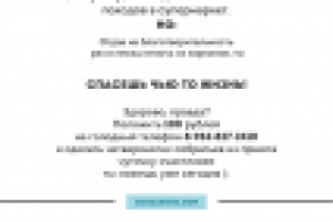 Листовка для животного приюта