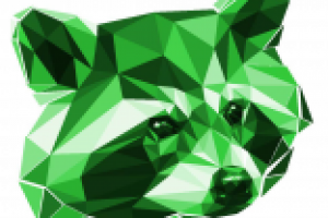 Принт на футболку Енот