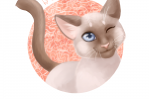 Оберег от пасмурного настроения_02