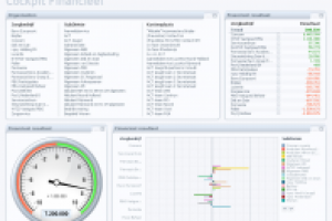 Cockpit Financeel