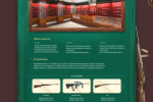 Магазин оружия