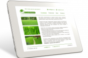 Сайт компании "СлонГазон", главная страница