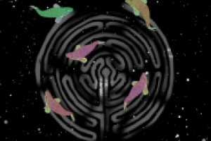 Хазарский словарь live