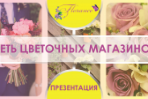 Презентация для магазина в ТЦ.