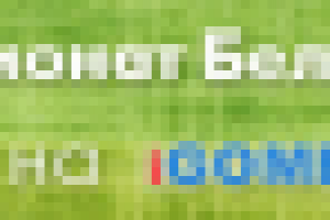 Гомель футбол