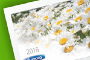 Настенный календарь