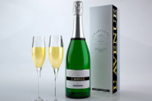 Дизайн и визуализация нового продукта