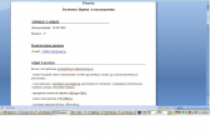 Скрин резюме, скачать полностью можно ниже