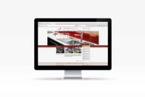 Дизайн сайта для компании Reginox Reef Holding