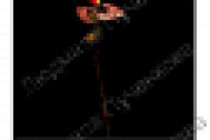 Аватар для группы "Секреты красоты"