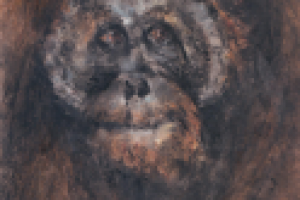 Работа 1614850