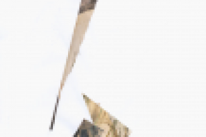 композиция