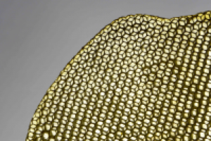 архитектура природы