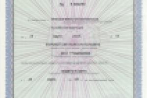 Аудит (обязательный / инициативный)