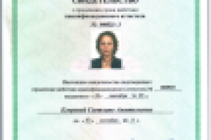 Заполнение Деклараций, Налоговые споры/проверки/возврат налогов