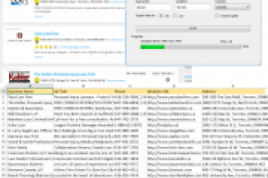 Приложение для парсинга сайтов yellowpages