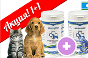 Рекламные баннеры в слайдер зоомагазина .