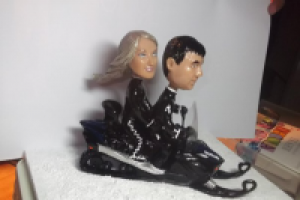 Работа 2532248