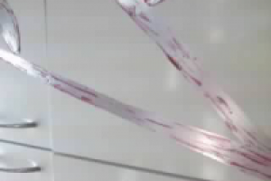 Работа 2519234