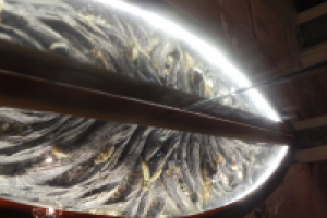 Работа 2253309