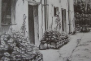 Работа 2253281