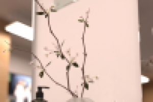 Фен Бар 09.2015