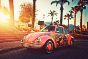 Работа 2570732