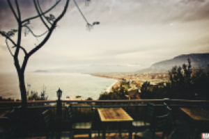 Работа 2570743