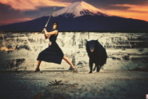 Работа 2570753