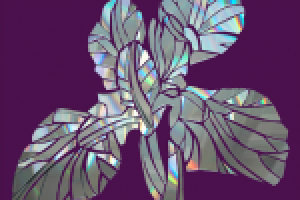 Ирис из CD-дисков