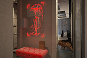 Гостинная и прихожая