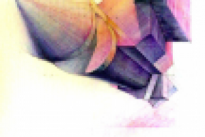 Работа 1697346