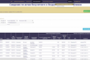 Интранет WEB-сервис "Сведения по актам"