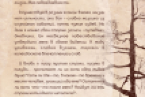 Оформление страницы интерактивного путеводителя