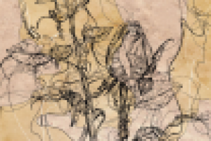 из серии "зеркало" 3