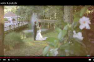 Свадебный клип Anrde and Michelle