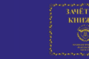 Презентационная книжка института (обложка)