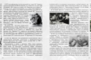 Презентационная книжка института (разворот)