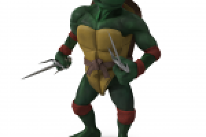 Turtle