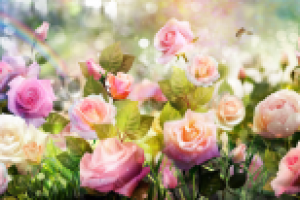 Коллаж для интерьерной печати (фреска - разм.500х300см.)