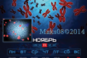 Оформление календаря 2014