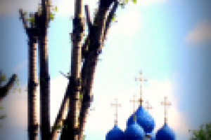 Работа 2842814