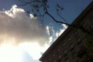 Работа 2842791