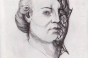 Работа 2838864