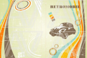 Обложка на водительские документы Retro