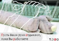 img1003888.png