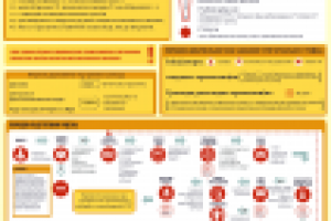 Работа 2107627