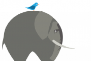 Слон с птичкой. Вектор